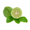 Bergamot